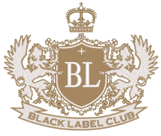 Embroidery digitizing workflow example 2