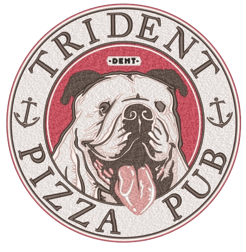 Embroidery digitizing workflow example 1